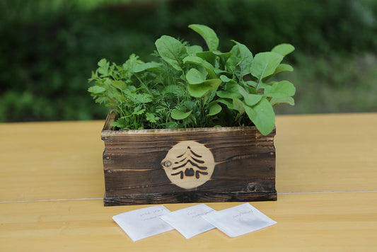 ハーブ種まきセット(税・送料込)