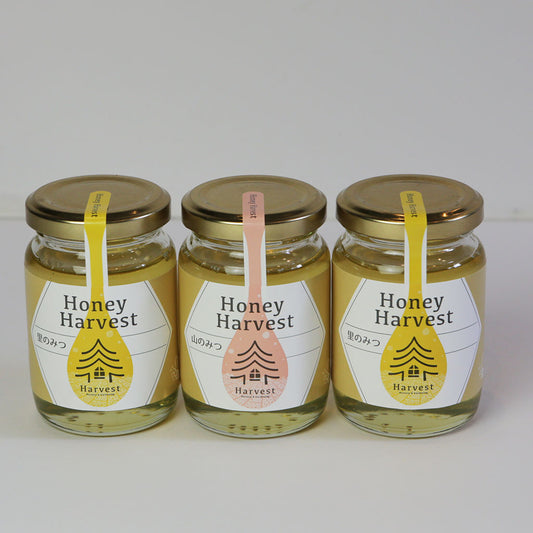 ハチミツ3個セット(税・送料込)
