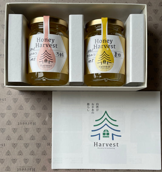 ハチミツ２個セット　化粧箱入（税・送料込）