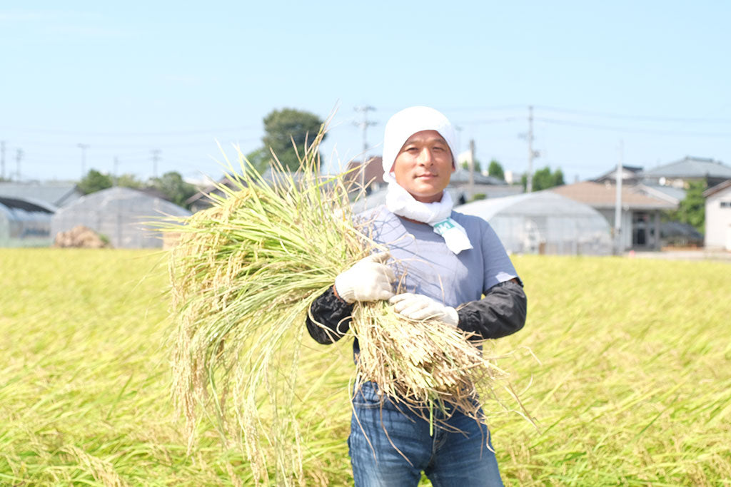 令和８年産　土田のお米 10kg（税・送料込）　玄米