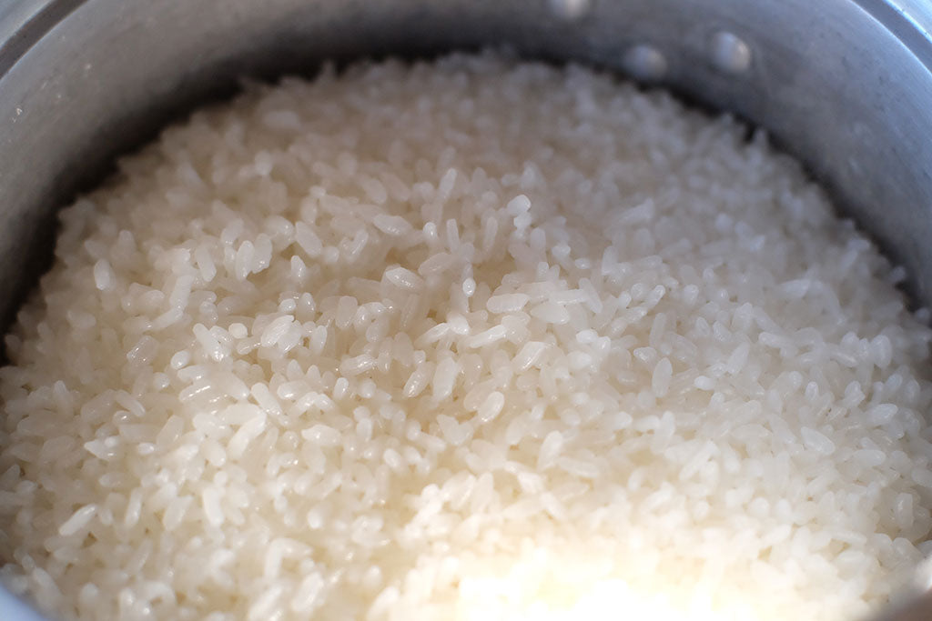 令和８年産　土田のお米 10kg（税・送料込）　玄米